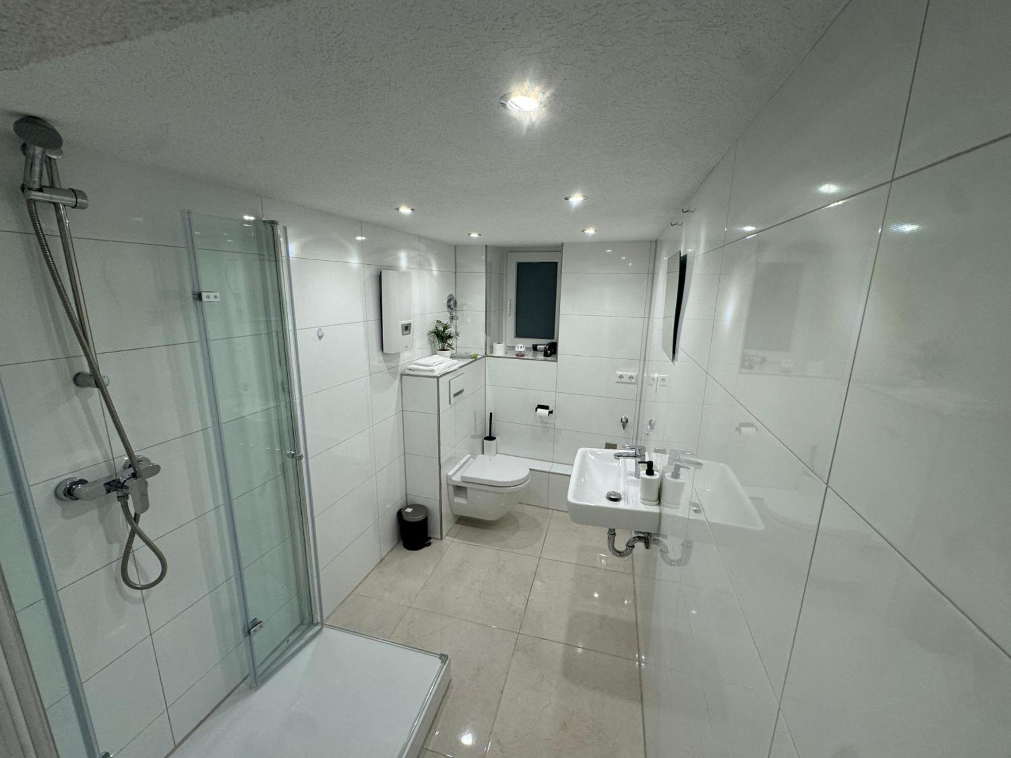 City Apartment Stadtwohnung Mit Kueche Und Netflix Nahe Bahnhof Sinsheim Esterno foto